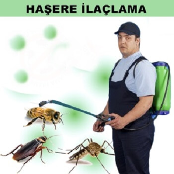 Kıbrıscık Böcek İlaçlama